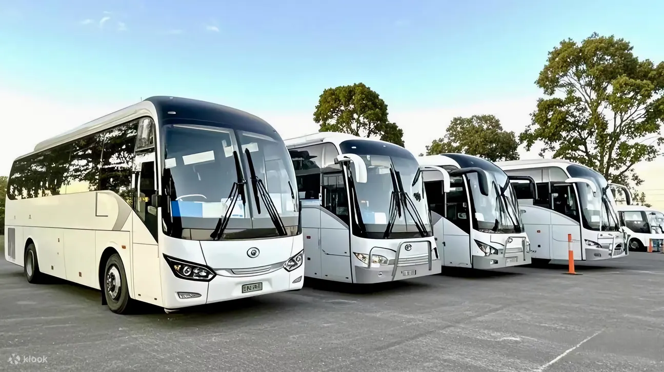 Wheelstories premium touring coaches