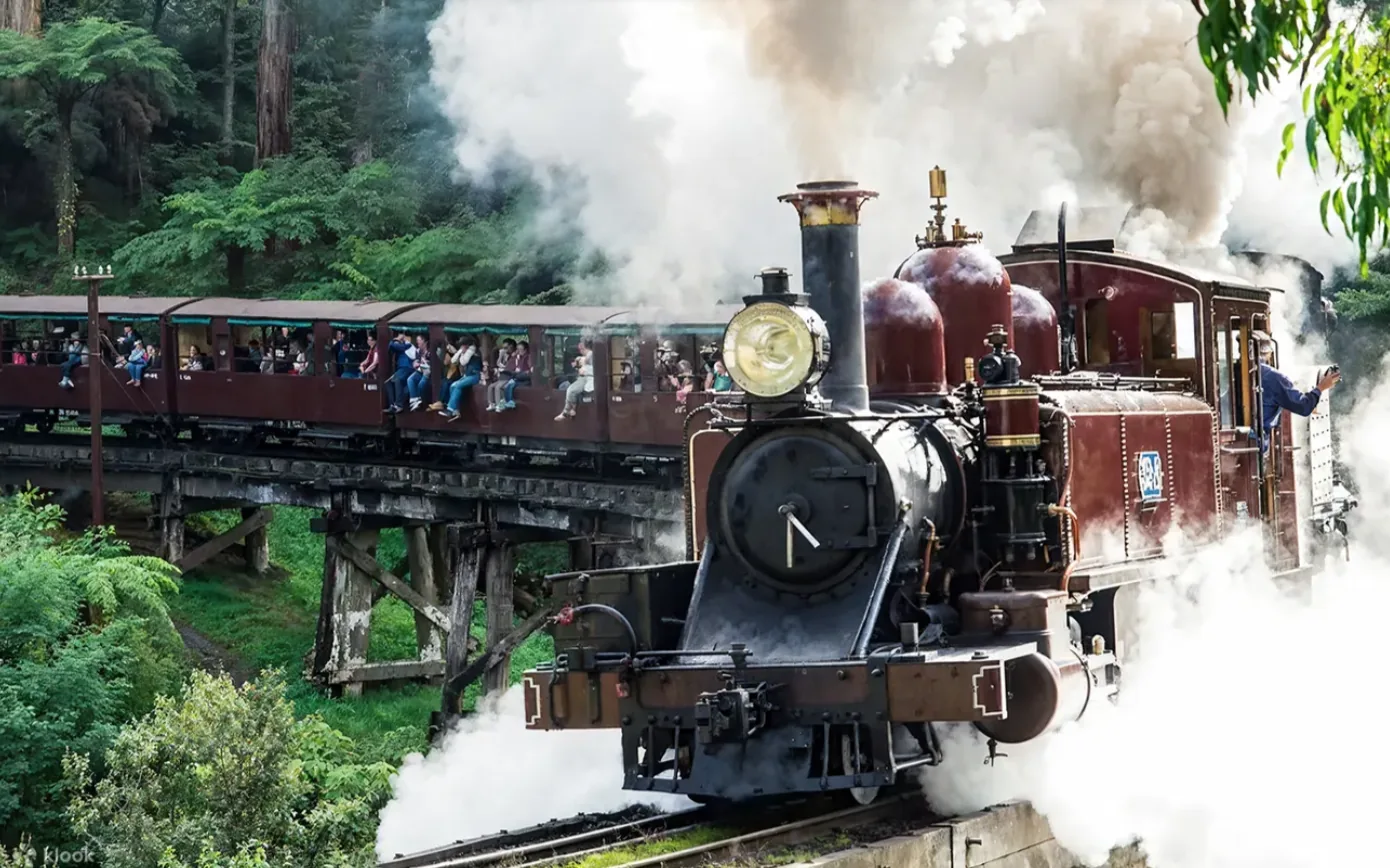 Puffing Billy steam train travelling through the Dandenong Ranges